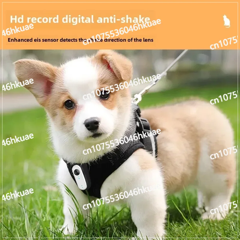 Waterproof Mini Body Camera fo - مراجعة Outdoor Adventure Video وسعره